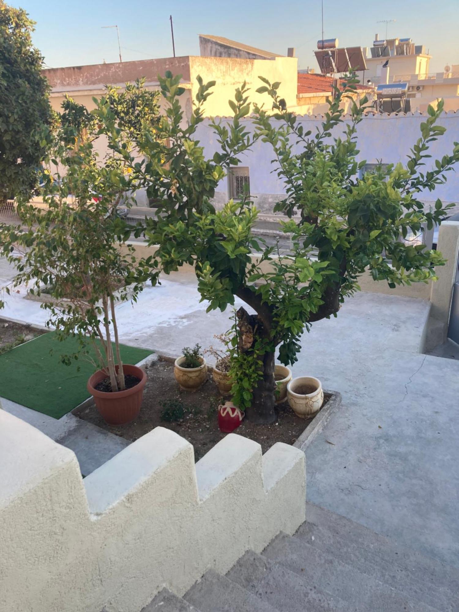 Apartament Lemonia Mégara Zewnętrze zdjęcie