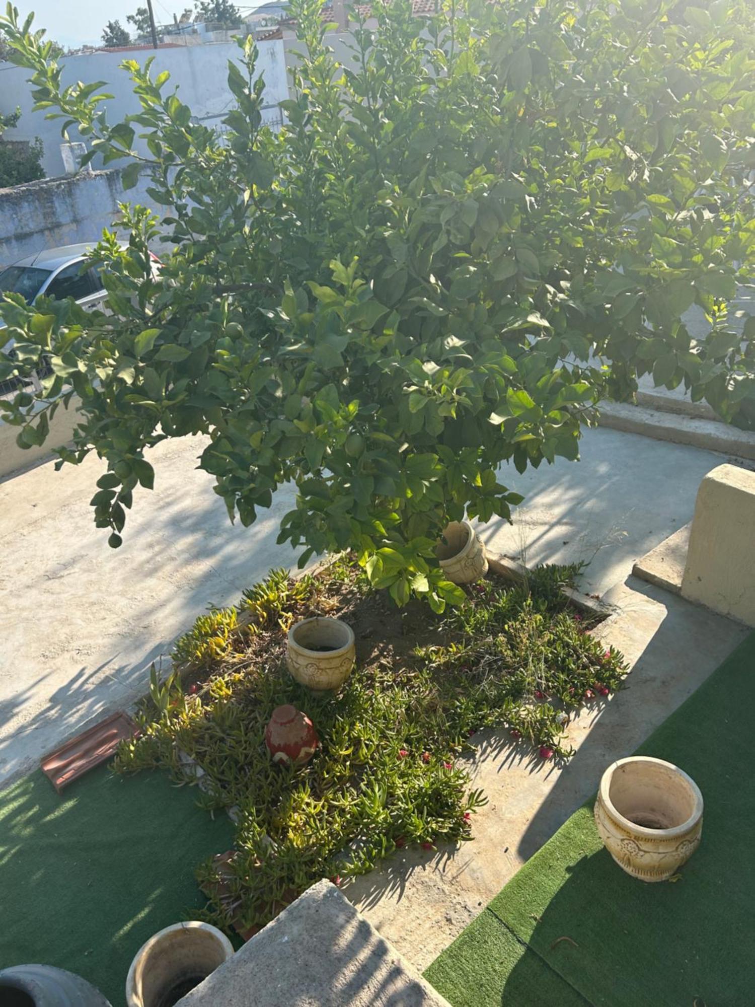 Apartament Lemonia Mégara Zewnętrze zdjęcie
