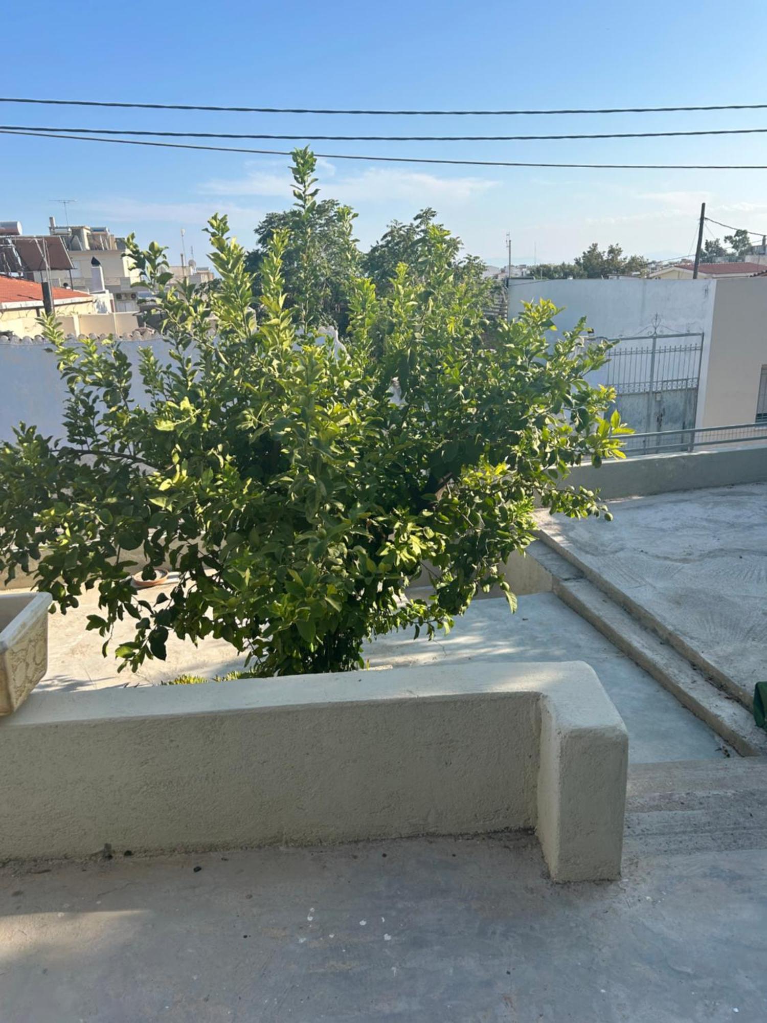 Apartament Lemonia Mégara Zewnętrze zdjęcie